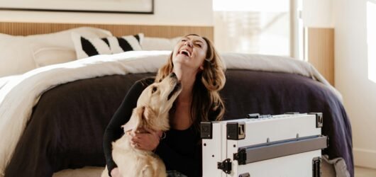 6 Must-Have Dog Essentials for Apartment Living