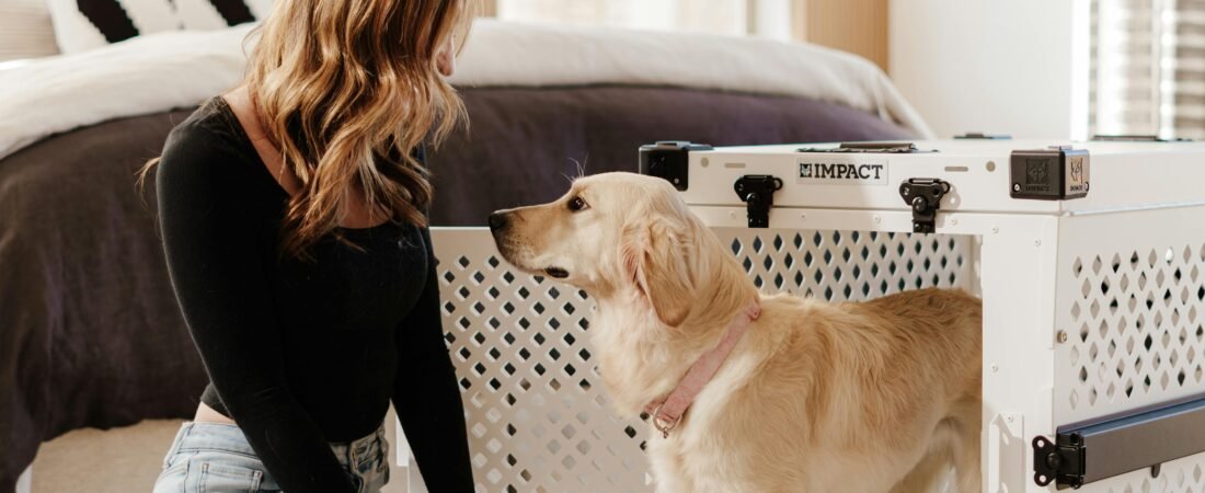 6 Best Dog Crates for Apartments