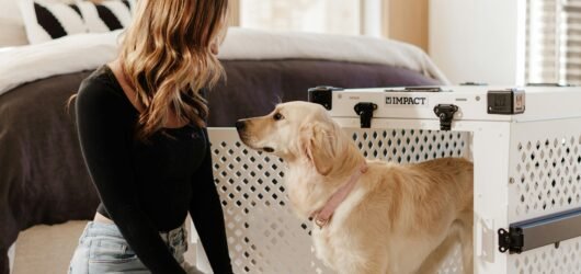 6 Best Dog Crates for Apartments